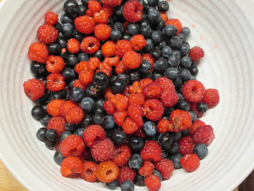 Beeren1 verkleinert